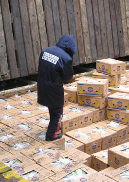 Expediting   Services BUREAU VERITAS