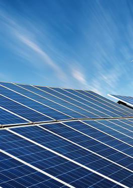 bureau veritas THE ENVIRONMENTAL DUE DILIGENCE