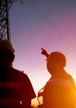 bureau veritas Periodic Mandatory Inspections