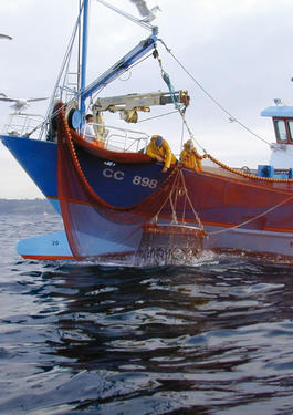 bureau veritas fishery observation program