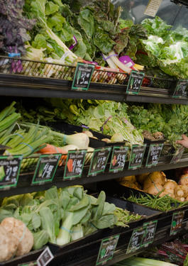 Product Traceability platforms