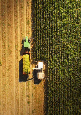 Production mapping & benchmarking by satellite/drone