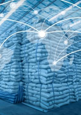 Global network coverage world for Distribution of goods in warehouse process for Logistic Import