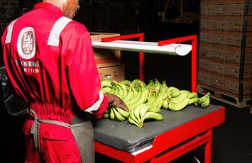bureau veritas fruit inspection