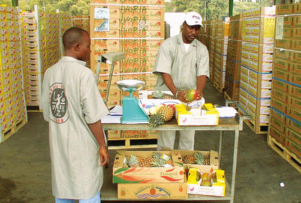 Food manufacturing processing